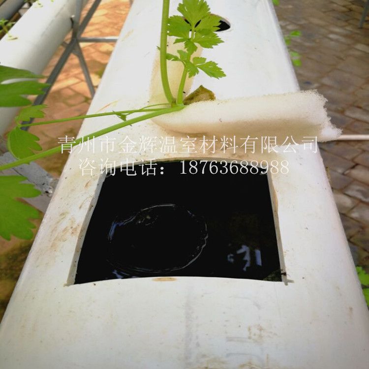 無(wú)土栽培景觀
