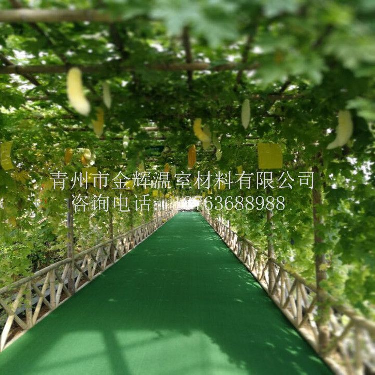 無(wú)土栽培景觀
